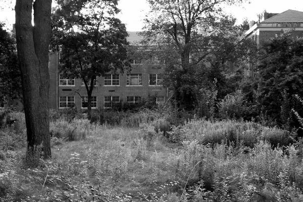 Overgrown