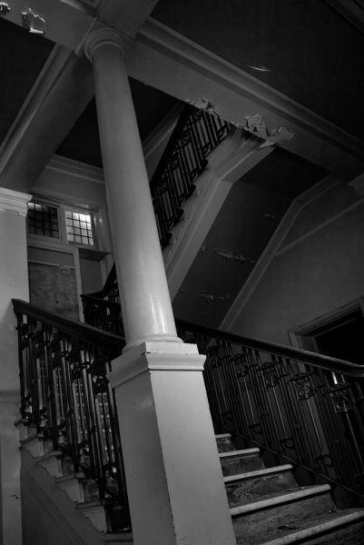 Opulence in Darkness