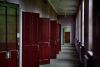 Florid Doors