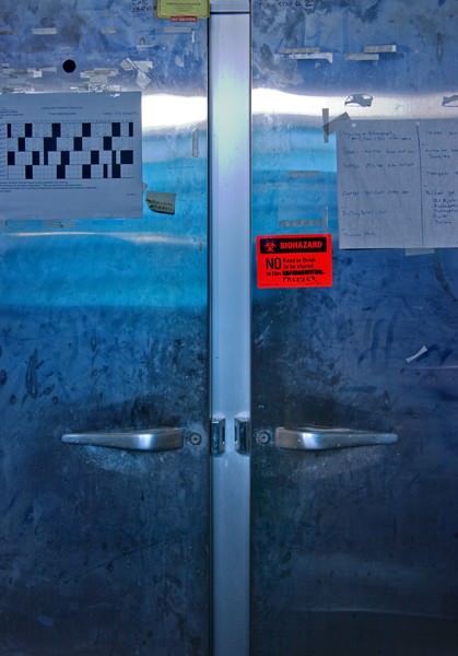 Freezer Doors