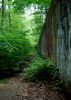 Wall