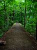 The Walk