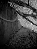 Wall
