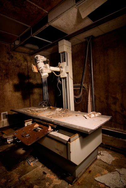 Black Mold in Black Places
