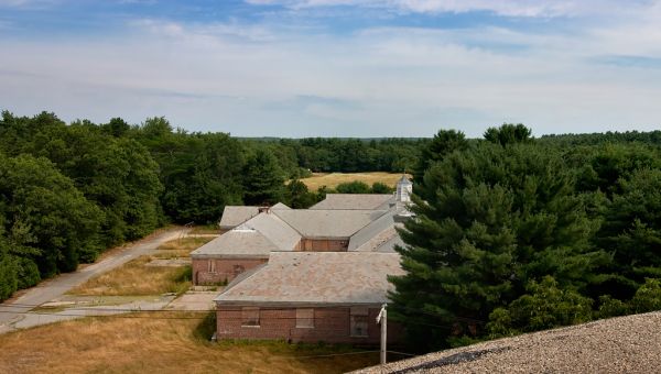 The Roof