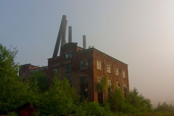 Morning Mist