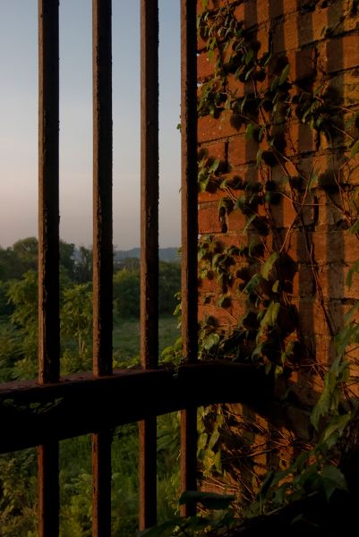 Sunset Shadows
