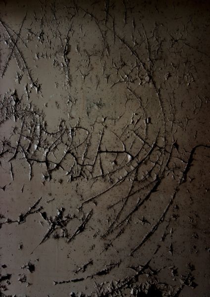 Scarred and Stitched