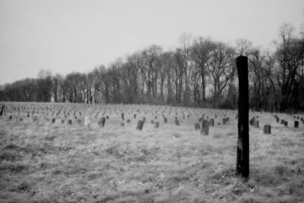 The Graveyard