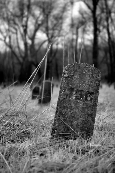 Old Stones