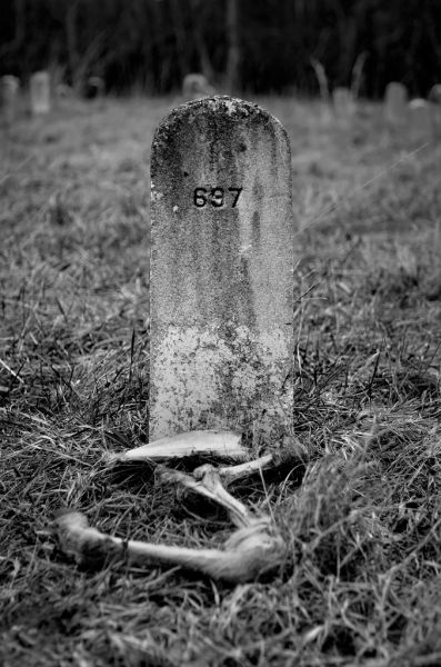 Bones