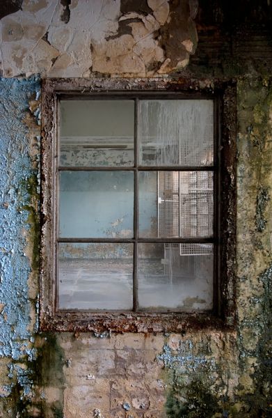 The Nurses Window