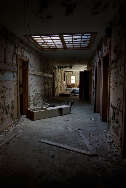 Skylight