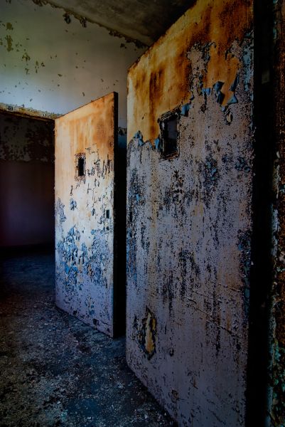 Lavender Rust