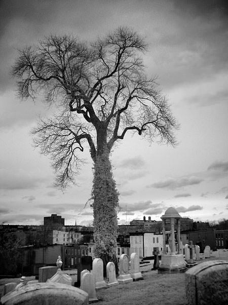 Greenmount Cemetery Baltimore